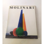 ♥ MOLINARI Mario EQUIVALENZA PLASTICA MUTANTE Lorenzo Bonini Ferrari Ed Y101